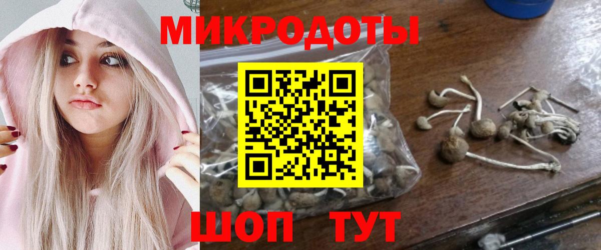Аксай  Галлюциногенные грибы Psilocybe  Вход с VPN 